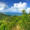 How to Contact a Non-Profit Organization in the US Virgin Islands